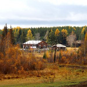 Подразделение Родник